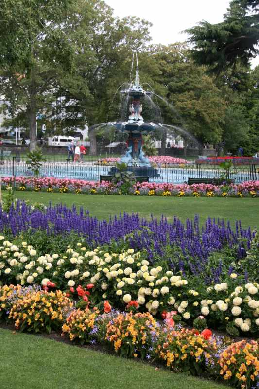 Nieuw-Zeeland 2011 - 2166